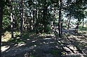 VBS_4751 - Il bosco fatato - Montaldo Roero